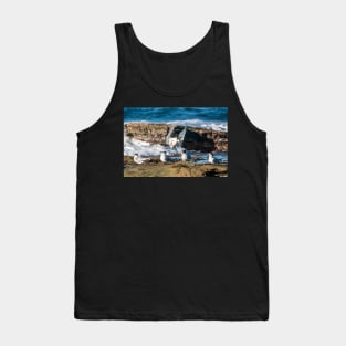 Crested Tern - Joining the Party Tank Top